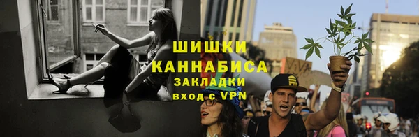 ПСИЛОЦИБИНОВЫЕ ГРИБЫ Навашино