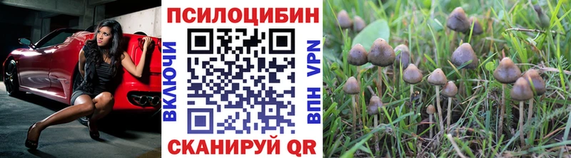 darknet наркотические препараты  что такое наркотик  Туринск  Псилоцибиновые грибы Magic Shrooms 