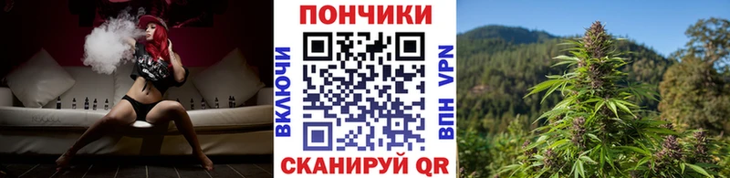 Канабис семена наркота Туринск